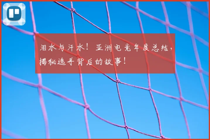 泪水与汗水！亚洲电竞年度总结，揭秘选手背后的故事！