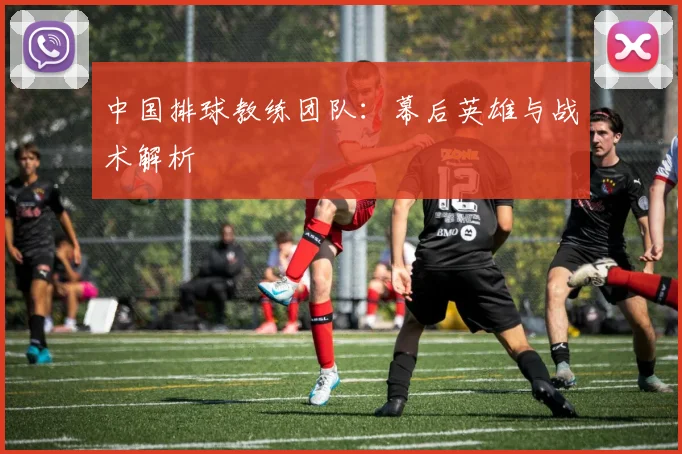 中国排球教练团队：幕后英雄与战术解析